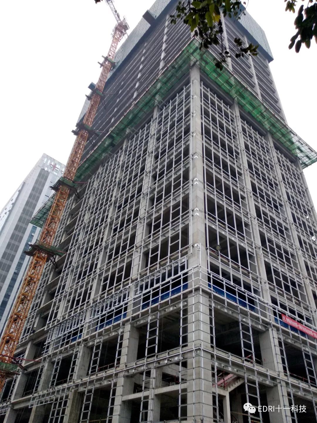 1548746950464773.jpg 18.jpg