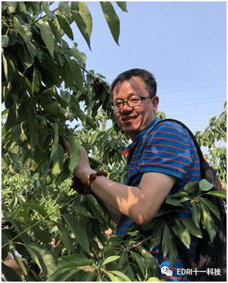 1560906542892995.jpg 5.jpg